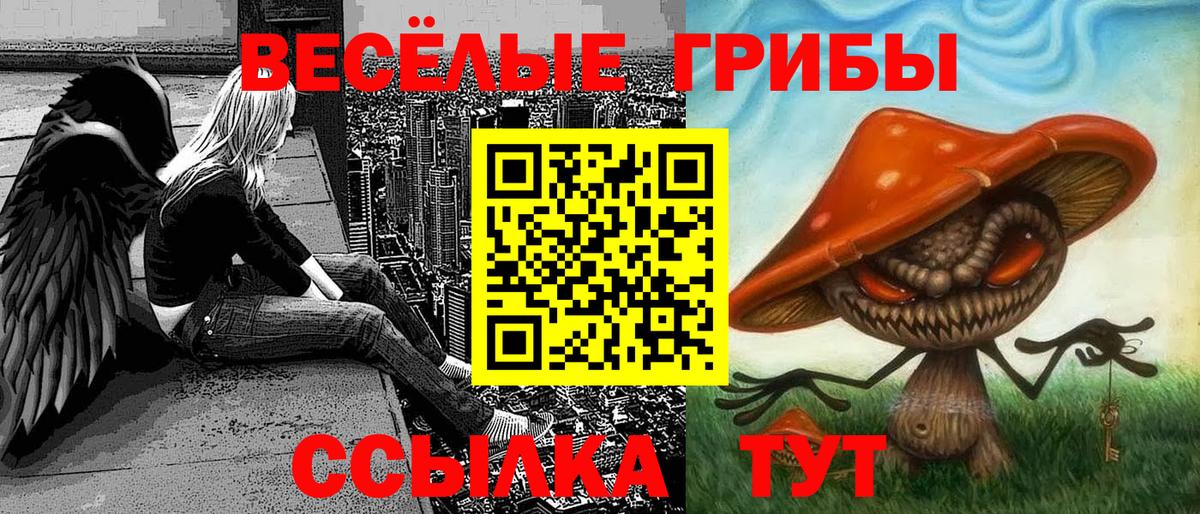 Псилоцибиновые грибы GOLDEN TEACHER Соль-Илецк